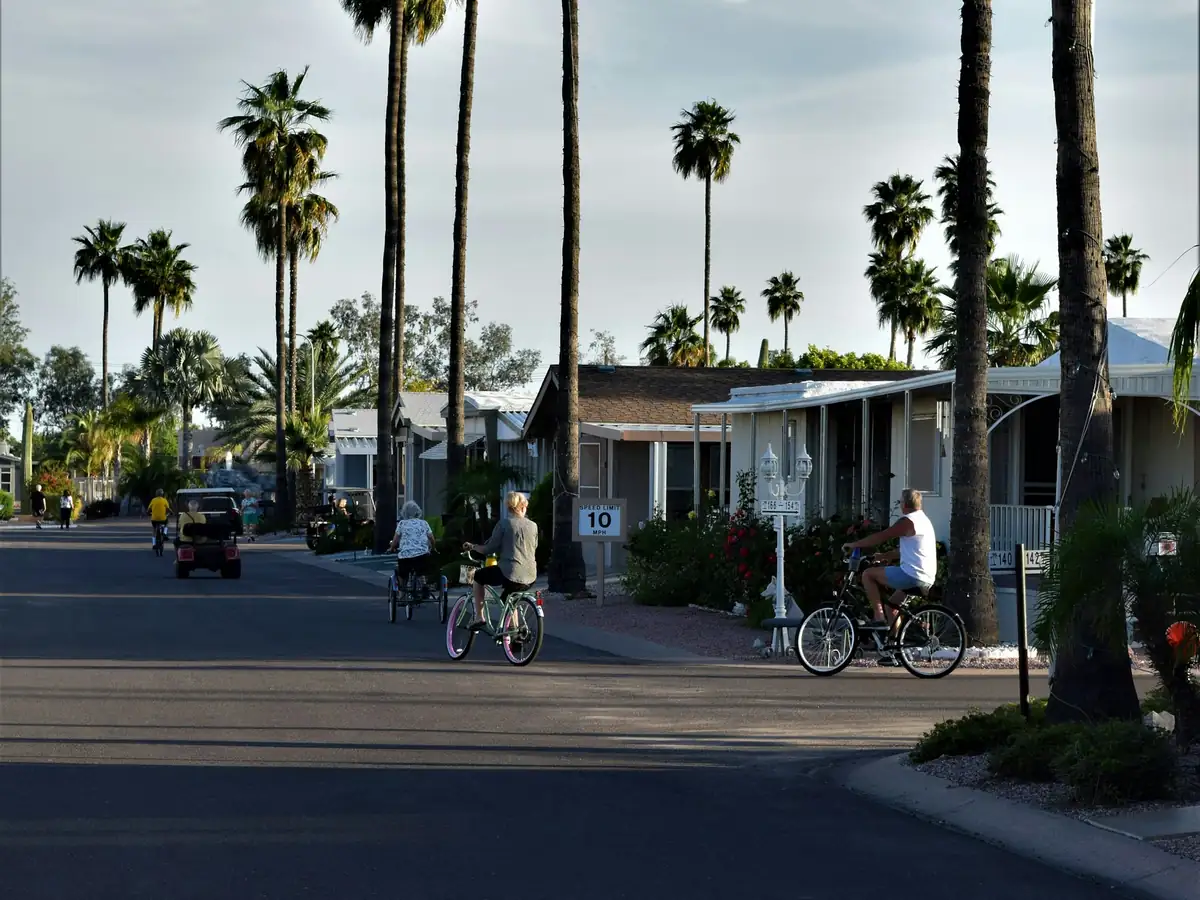 Golf carts and bicycles on a palm-lined residential street in Mesa